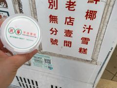 -洪馨椰子