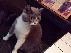 -MIKAKU(万达广场上海宝山店)