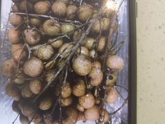 -川香煲(茅台路店)