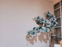 -雪儿·YuKi美甲美睫皮肤管理Salon
