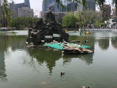 -团结湖公园