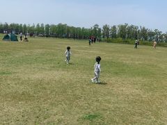 -春花秋色城市公园