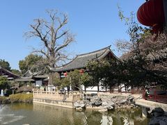 -常熟方塔园