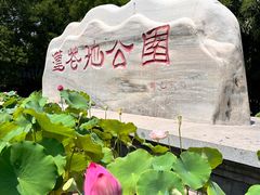 -莲花池公园