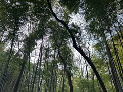 -杭州黄龙洞