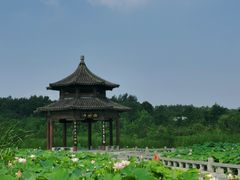 -江苏三台山国家森林公园