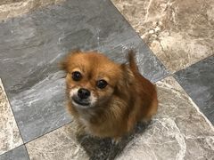 -晓马鸭店(新芜路店)