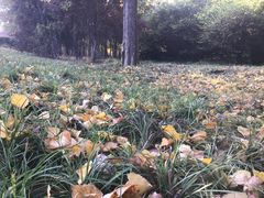 -郑州植物园