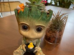 -Fridi Patisserie Cafe