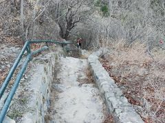 -香山公园