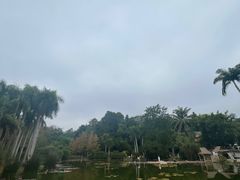 -中国科学院西双版纳热带植物园