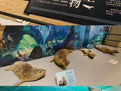 -大连自然博物馆