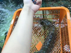-班赞海鲜市场