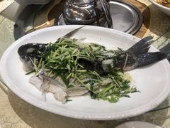 盐水蒸鱼-丰尔粥食·粥底火锅·桑拿鸡(大良总店)
