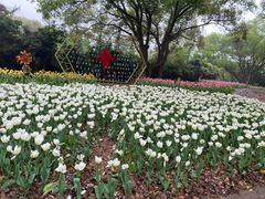 -无锡梅园公园