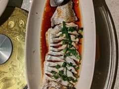 -金美华轩(东方路齐鲁店)