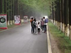 -黄海国家森林公园