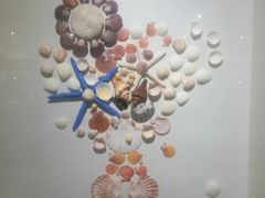 -青岛贝壳博物馆
