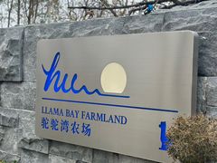 -静之湖度假区