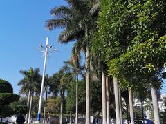-石炮台公园