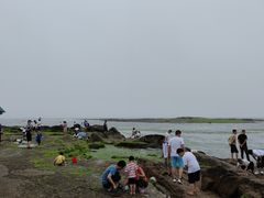 -日照灯塔风景区