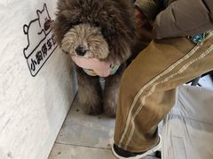 -卖呆儿咖啡(望京店)