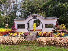 -上海共青森林公园