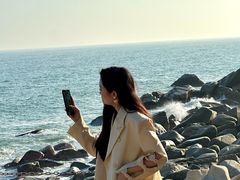 -广东惠东海龟国家级自然保护区