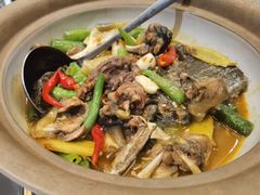 古法甲鱼煲-甲王二老长沙口味馆