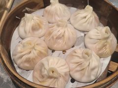 -莱莱小笼·乔艾