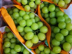 -西郊国际农产品交易中心