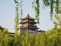 -莲花池公园