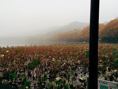 -星巴克(西湖天地店)