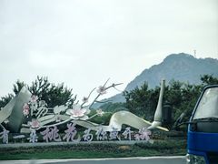 -老袁家蜜桃农场·阳山水蜜桃