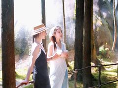 -玉苍山国家森林公园