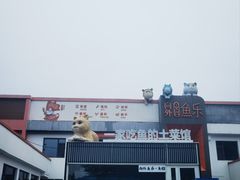 -向外鱼乐·土菜·虹鳟鱼