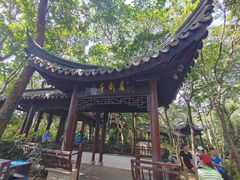 -上海佘山国家森林公园天马山园