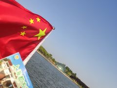 -上海都市菜园