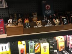 -酷乐潮玩(金桥国际店)