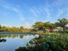 -无锡蠡湖国家湿地公园-蠡园