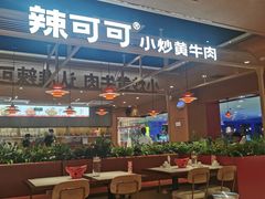 -辣可可·小炒黄牛肉(望京凯德MALL店)