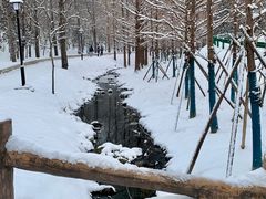-白水寺森林公园
