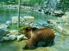 -北京野生动物园