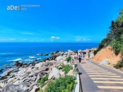 -广东惠东海龟国家级自然保护区