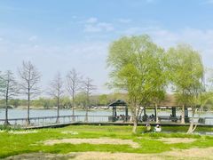 -长广溪湿地公园