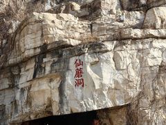 -仙蘑洞