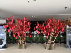 -真爱年华水疗健康运动中心(朱雀大街店)