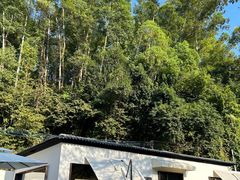 -火炉山森林公园