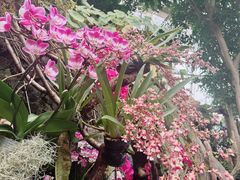 -北京植物园-展览温室