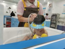 点击看大图 -马博士婴幼儿游泳馆(爱琴海购物公园店)